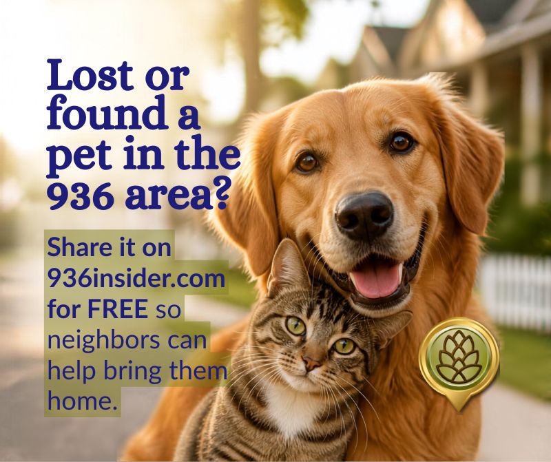 Golden retriever and tabby cat with text: Lost or found a pet in the 936 area? Share it on 936insider.com for FREE so neighbors can help bring them home.