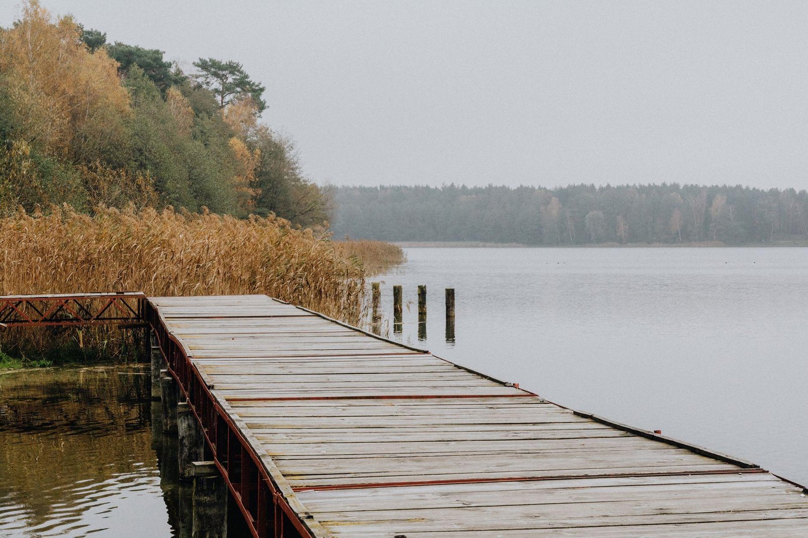 Wooden pier stretching into a foggy lake lined with reeds and autumn trees