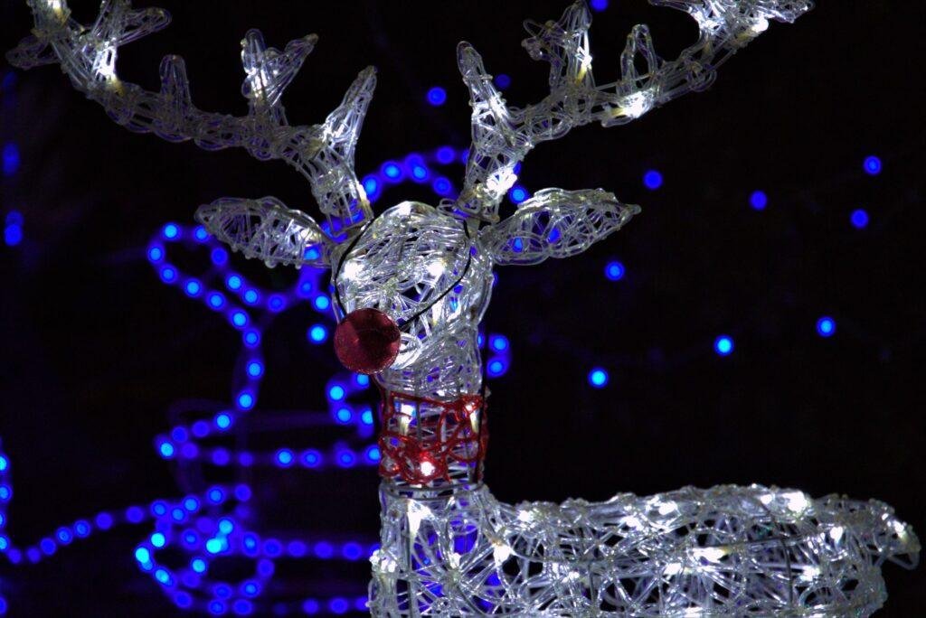 Light-up reindeer decoration with a red nose glowing at night