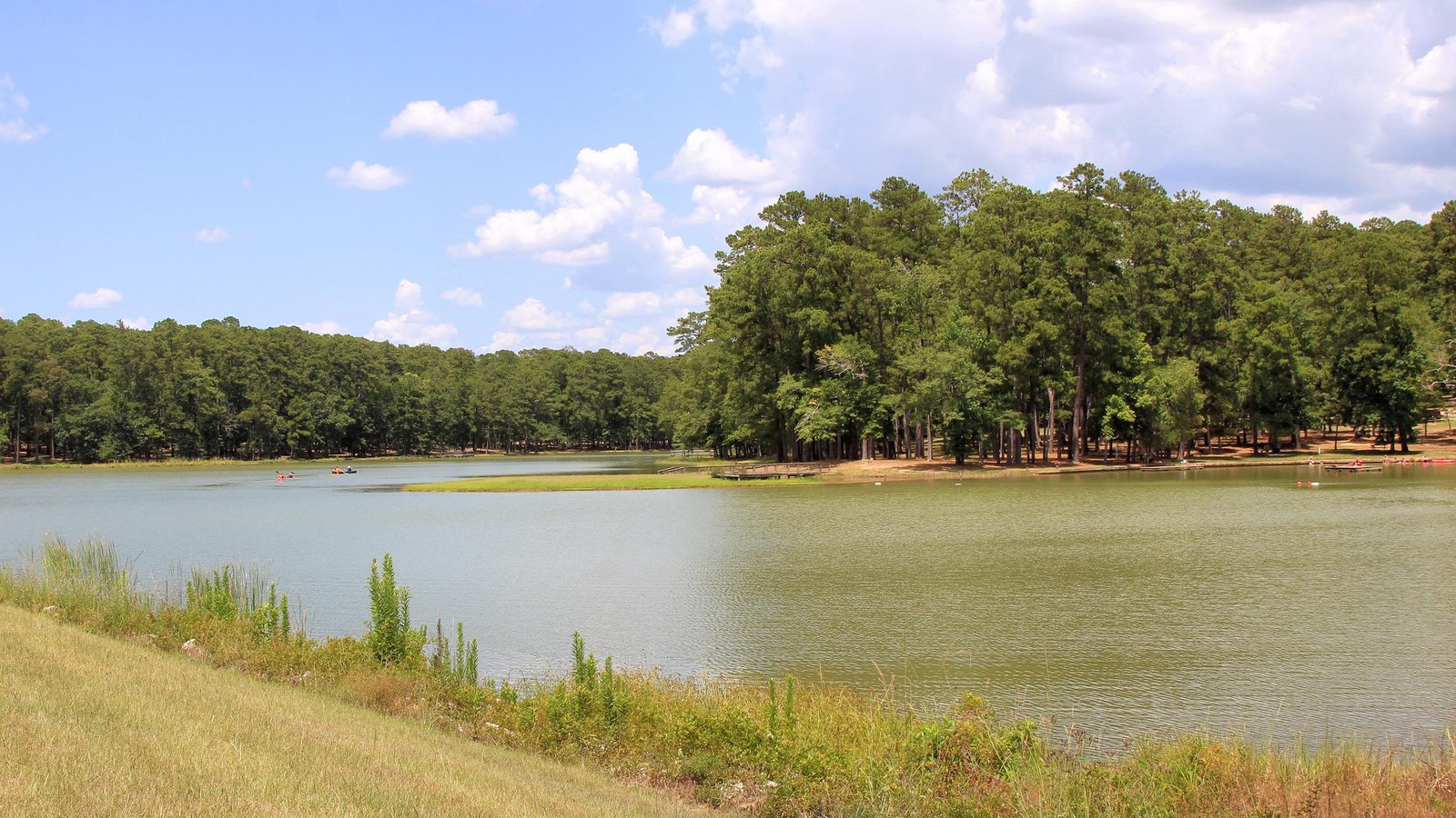 Lake Tombigbee surrounded by tall pine trees on a sunny day
