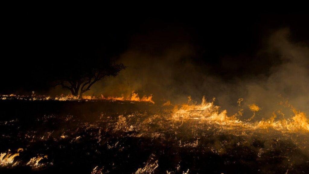 A field fire burning across a dry Texas landscape at night, illustrating the wildfire risk that prompted the Trinity County burn ban.